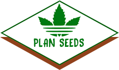 лого магазина ПланСидс