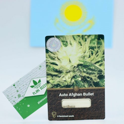 Купить стакан травы Auto Afghan Bullet