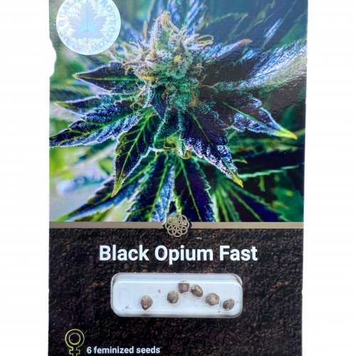 Купить стакан травы Black Opium Fast