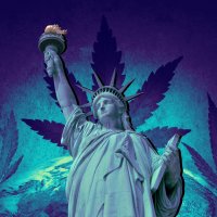Как повлияла бы на мир легализация каннабиса в США?